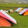 Camping
